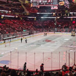 zajazd na NHL a NBA New York - futbalovysen - hokej - blog